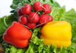 vegetables with salad, radish and pepper 