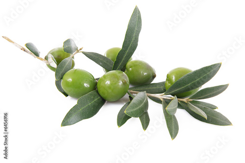 olive