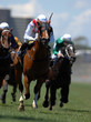 Images : A jockey in action during on a horse during a race.
