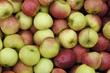 pommes