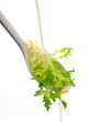 Huile et salade