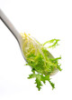 Salade