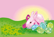 pink rabbit