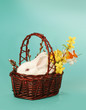 Photo: Rabbit in baske Rabbit in baske