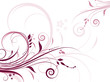 Floral abstract