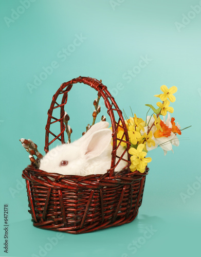 Photo: Rabbit in baske Rabbit in baske