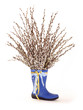 willow catkin