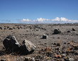 Old lava field on Big island, Hawaii