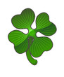 Vector illustration of a clover isolated on white background