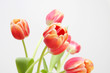 Foto: Tulpen, Blumen Tulpen, Blumen