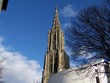 Ulmer Münster mit Stadthaus