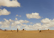 Désert d'atacama