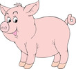 Pink piglet