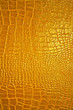Golden dragon texture