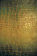Reptile leather texture