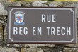 plaque
