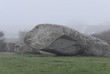 menhir