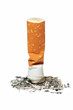 Photo: Cigarette Butt Cigarette Butt
