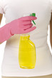 Window cleaner