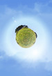 green planet