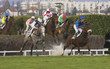 courses d'obstacle