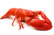 red lobster