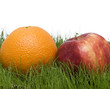 apple and orange
