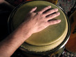 Hand on conga