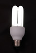 Photo: compact fluorescent light with dark back ground compact fluorescent light with dark back ground