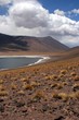 lagune miniques chili