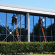 Window washers on ladders