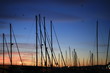 port