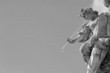 trevi trumpet