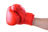 Boxer against white background. ���� ����, ������� � ���������� ����, ������ ����, ������� �� ���� ����, ������� ����, ������ ����