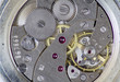 Inside a watch