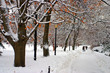 Boston Winter..