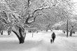 Boston Winter..