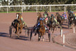 course hippique