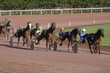 chevaux attelés