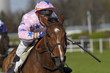 Photos : horse racing auteuil 04