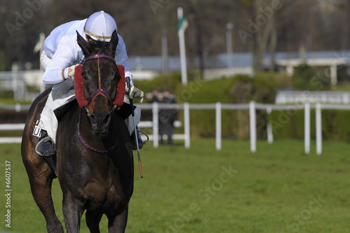 Photo: horse racing auteuil 05 horse racing auteuil 05