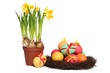 Easter nest