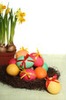 Easter nest