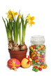 Easter still life