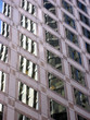 Foto: Vision, Reflected Vision, Reflected