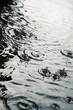 canvas print picture urban rain