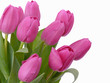 Muttertag,Tulpen