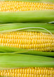 Corn