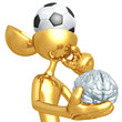 Soccer Football Mind