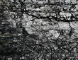 Black coal background